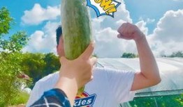 网红吃瓜船,揭秘娱乐圈幕后风云